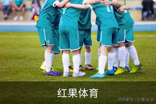 红果体育公司简介图片